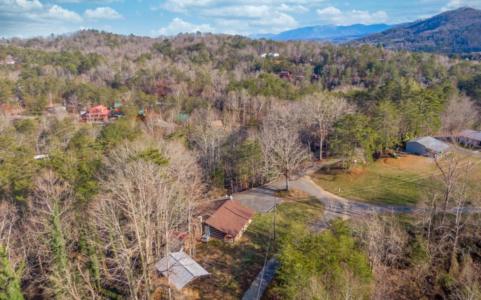 Wooded Bliss Hot Tub Single Level Cabin With No Steps Rocking Chairs And Wooded Views Пиджен-Фордж Экстерьер фото